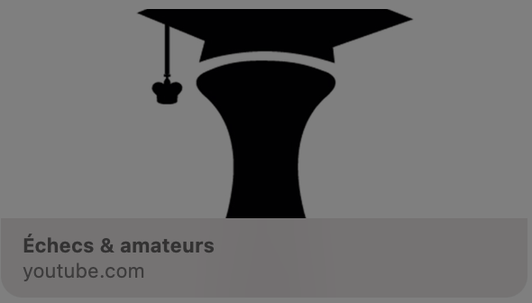 Top 20 des chaînes YouTube sur les échecs en français 18 echecs amateurs