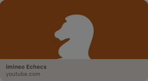 Top 20 des chaînes YouTube sur les échecs en français 5 imineo