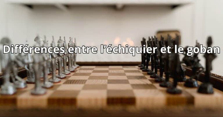 Différences entre un échiquier et un goban
